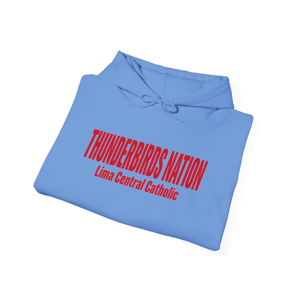 Lima Central Catholic Nation Hoodie