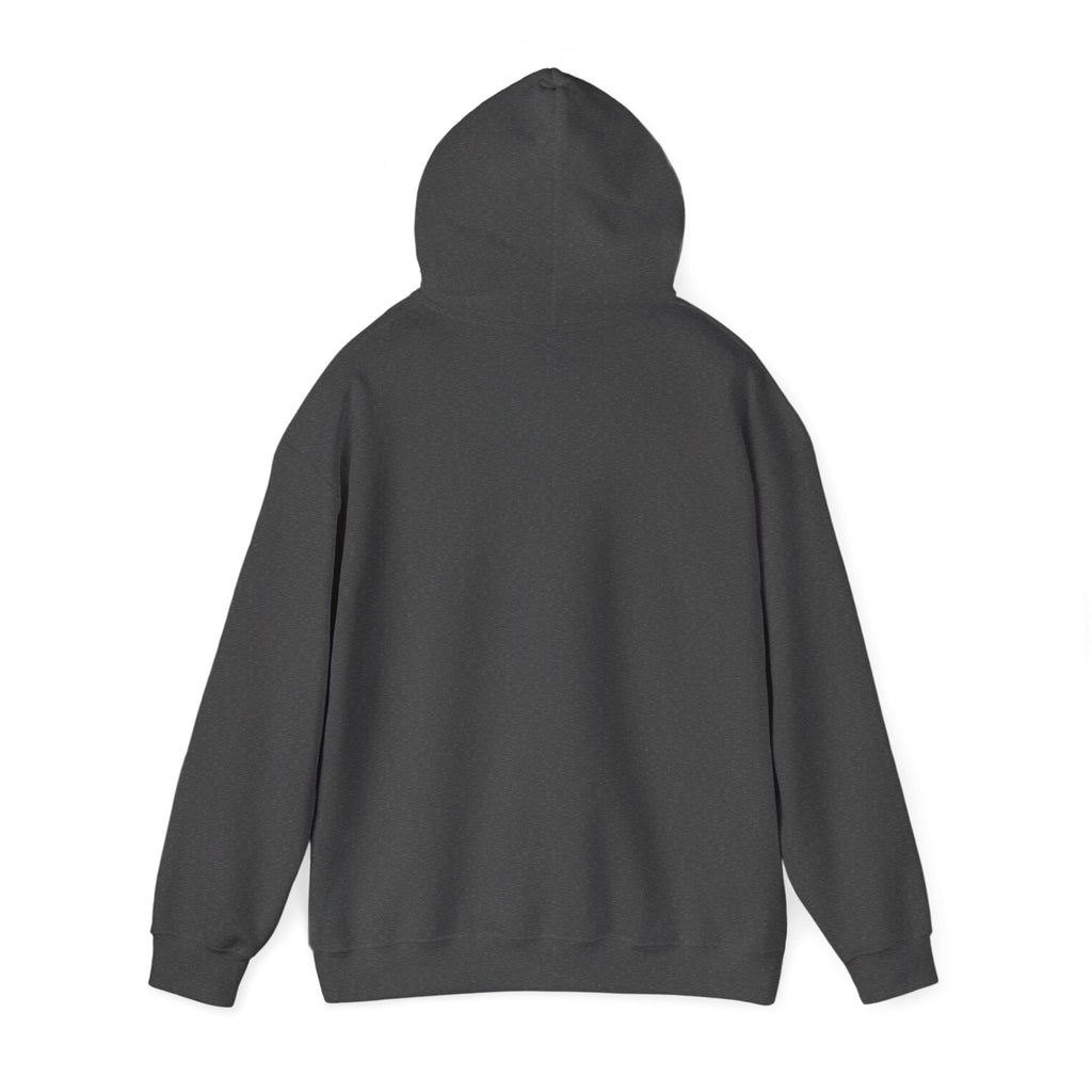 Lima Central Catholic Friday Night Lights Hoodie