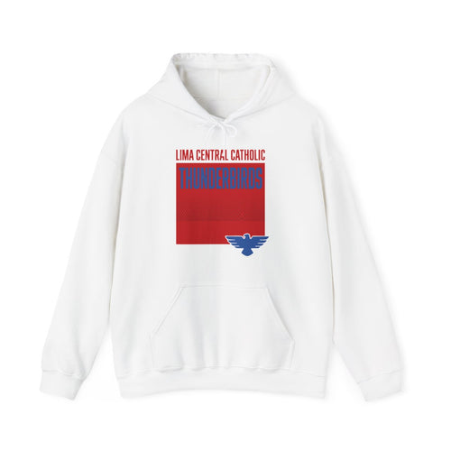 Lima Central Catholic Boxed Mascot Hoodie