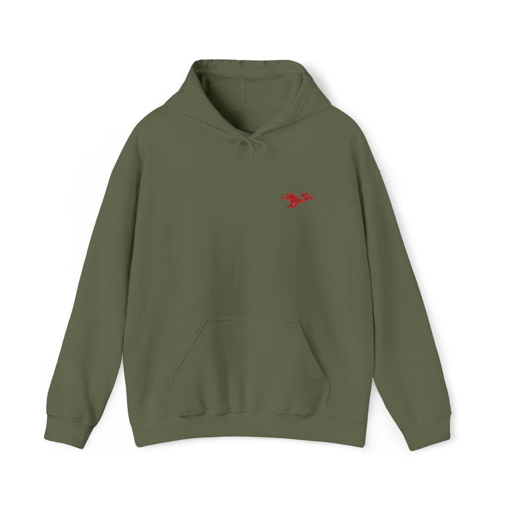 Lima Central Catholic Thunderbird Mark Embroidered Hoodie