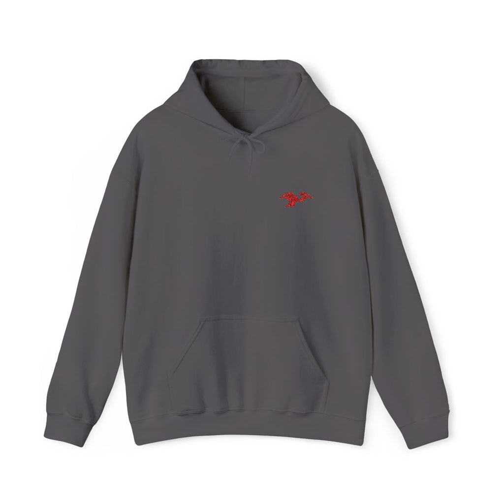 Lima Central Catholic Thunderbird Mark Embroidered Hoodie