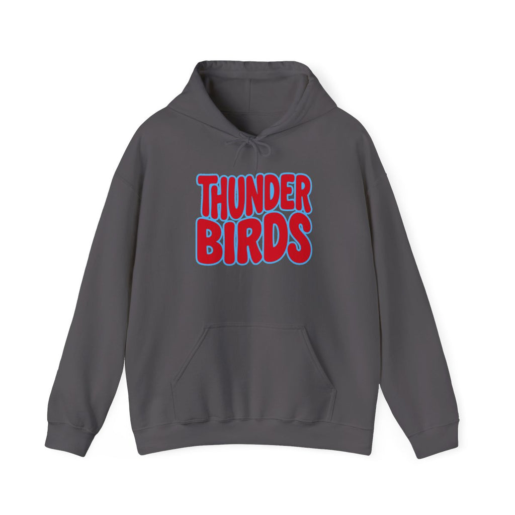 Lima Central Catholic Thunderbirds Bubble Hoodie