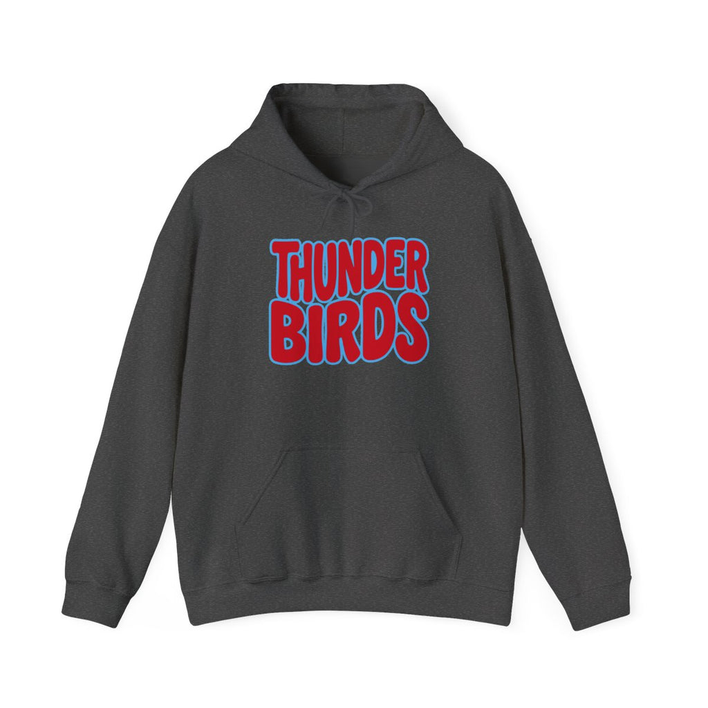 Lima Central Catholic Thunderbirds Bubble Hoodie