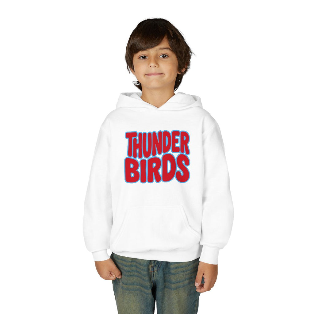 Lima Central Catholic Thunderbirds Bubble Youth Hoodie